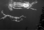 1954-creature-from-the-black-lagoon-031-ricou-browning-ginger-stanley
