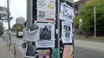 DSC01199