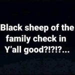 Black Sheep